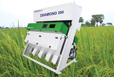 نقش سورتینگ در فرآیند شالیکوبی مدرن