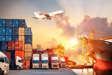 قوانین صادرات و بسته بندی: چگونه سورتینگ به رعایت مقررات مقصدهای پرتقاضا کمک می کند