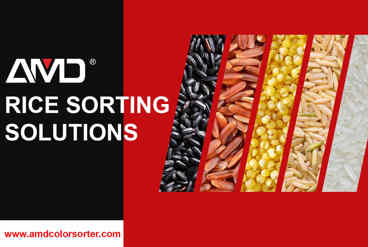 تکنولوژی پردازش تصویر در سورتینگ برند AMD؛ تفاوت در جزئیات