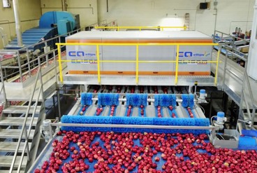 افزایش درآمد کارخانه ای در مازندران با ارتقای خط سورتینگ و بسته بندی