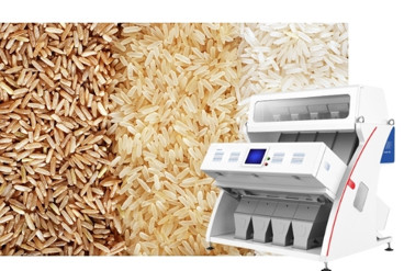 راهنمای خرید کالر سورتر برای برنج