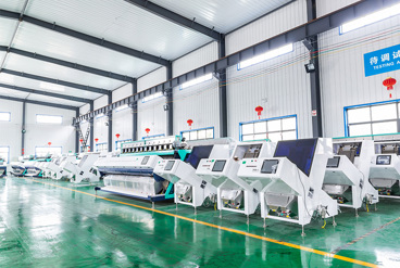 چطور دستگاه سورتینگ برنج کیفیت صادرات را تضمین می کند؟