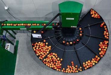 مقایسه انواع دستگاه های سورتینگ موجود در بازار ایران