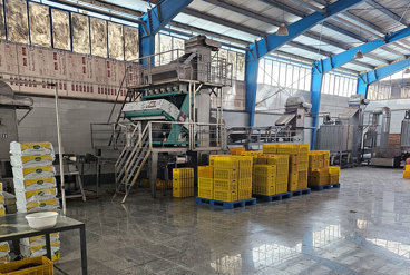 دستگاه بسته بندی کشمش، تکنولوژی نوین در خدمت باغداران