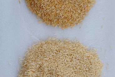 نصب و راه اندازی دستگاه های سورتینگ: نکات کلیدی برای موفقیت در فرآیند تولید