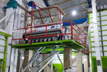 سورتینگ رنگی چه تفاوتی با سورتینگ معمولی دارد؟