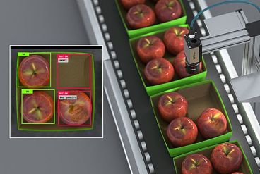 چطور هوش مصنوعی دقت سورتینگ در محصولات کشاورزی را تا 99٪ افزایش می دهد؟
