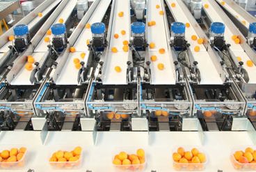 همه چیز درباره مونتاژ سورتینگ و نکات فنی آن