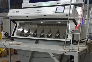 راهنمای جامع انتخاب برنج: چرا دستگاه های سورتینگ بهترین گزینه هستند؟