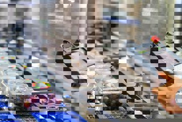 5 اشتباه رایج در انتخاب دستگاه بسته بندی کشاورزی